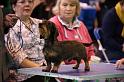 Crufts2011_2 510